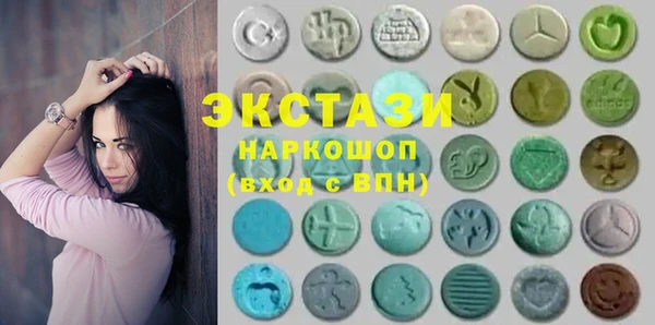 дживик Ельня