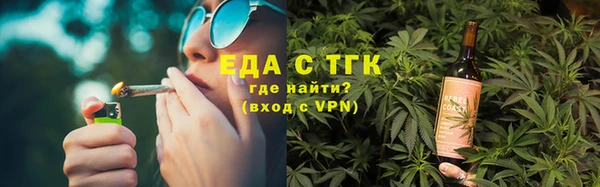 дживик Ельня