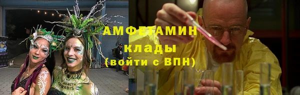 дживик Ельня