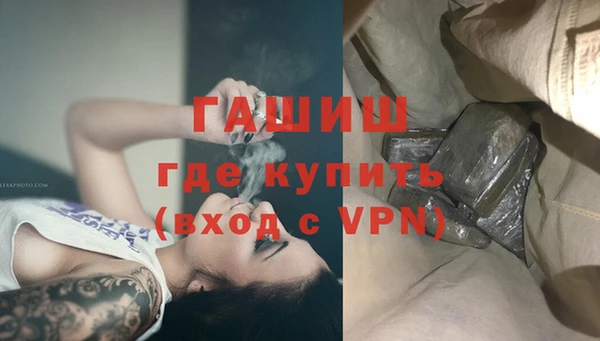 дживик Ельня