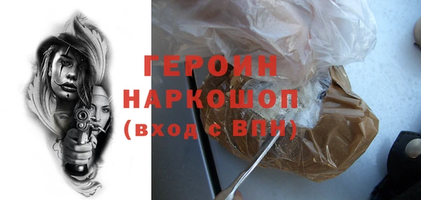 дживик Ельня