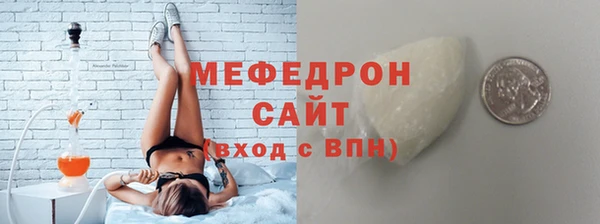 дживик Ельня