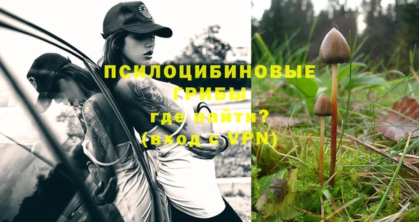 марихуана Елабуга