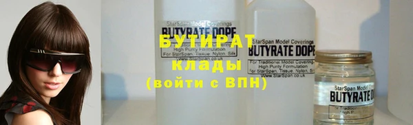дживик Ельня