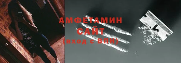 дживик Ельня