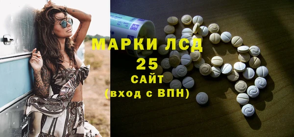 дживик Ельня