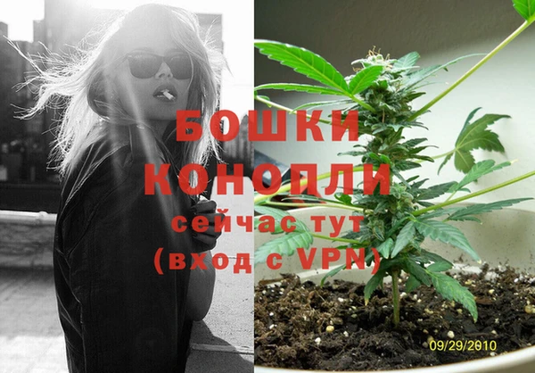 дживик Ельня