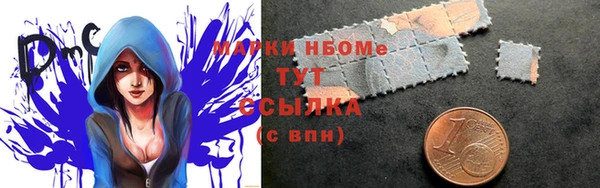 дживик Ельня