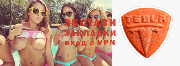 дживик Ельня