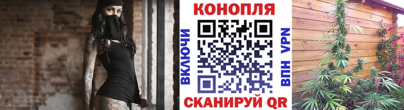 Купить закладки Райчихинск Бошки Шишки THC 21%